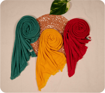 Pashmina shawl