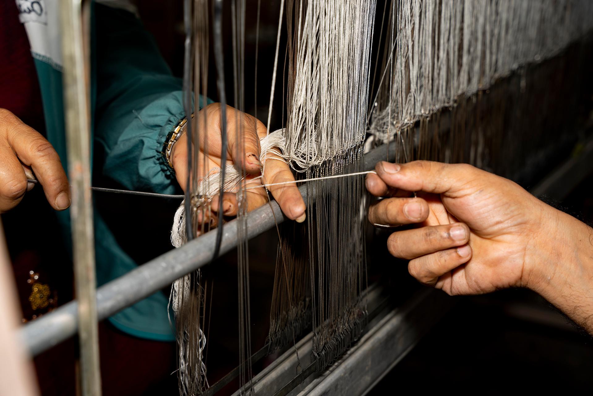 Guide to Ethical Fashion and Cruelty-Free Cashmere & Woolen Clothing